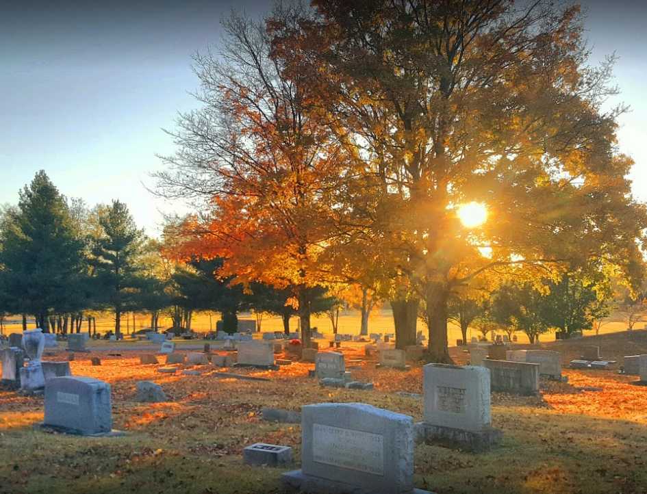 637160578679430000 - Copy